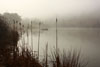 Foggy Pond by Kathy Douglas